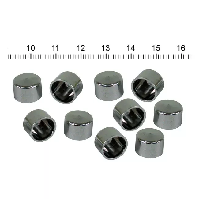 1/4" Allen Screw Cap for Harley-Davidson