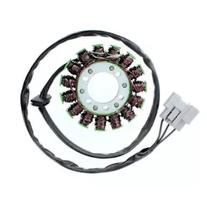 ElectrosportMotorcycle alternator BMW S1000r