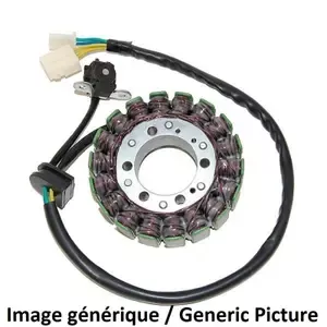 ElectrosportMotorcycle ignition Kawasaki ZX10R