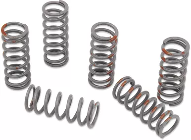 KG POWERSPORTS Clutch Spring Set KGS-057