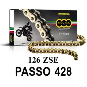 ReginaMotorcycle chain 126zse